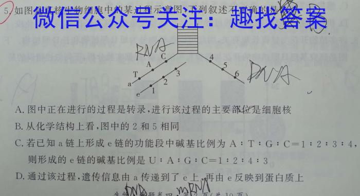 安徽省2023届江南十校高二阶段联考(5月)数学