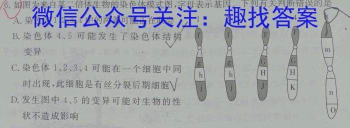 衡水金卷先享题·月考卷 2023-2024学年度下学期高三年级一调考试数学