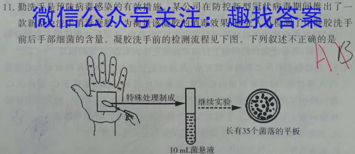 LYGZ2022-2023学年度下学期高一6月联考试卷(231756D)数学