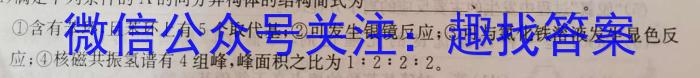 天一大联考·皖豫名校联盟2022-2023学年(下)高一年级阶段性测试(四)化学