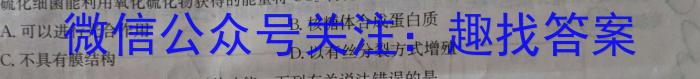 安徽省2023-2024学年度七年级上学期阶段性练习（三）数学