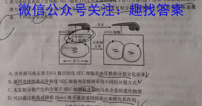 河北省2024年九年级6月模拟（一）数学