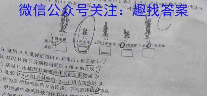 陕西省2024-2025学年西安理工大附中八年级收心自我评价数学