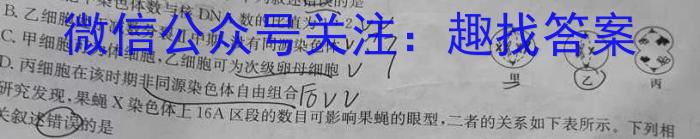 贵州省2024年初中学业水平考试（中考）模拟试题卷（二）数学