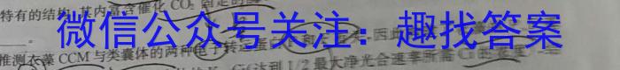 2023年吉林大联考高三年级5月联考（517C）生物