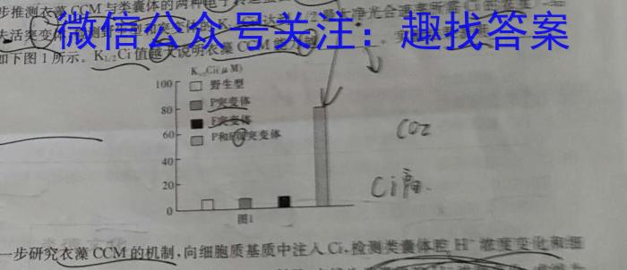 2023年河北省初中毕业升学仿真模拟考试（二）数学