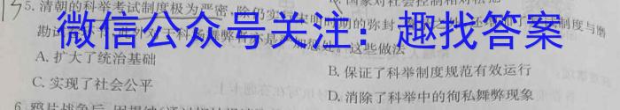 河南省濮阳市2022-2023学年八年级第二学期期末考试试卷历史