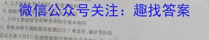 安徽省2023-2024年下学期八年级卷二数学