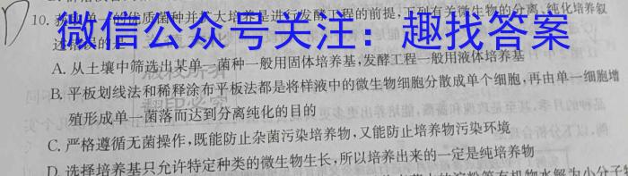 智慧之海·思维导航 2024年安徽省九年级学业挑战赛(两个倒三角)数学