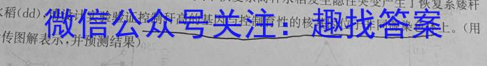 安徽省2023-2024学年第二学期八年级期末初中综合素质测评数学