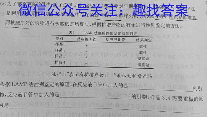 2024年陕西省初中学业水平考试仿真卷A（四）数学