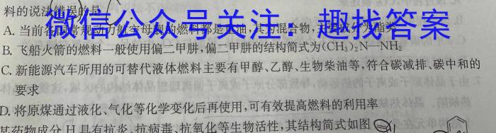 2023年陕西省初中学业水平考试·模拟联考卷A化学