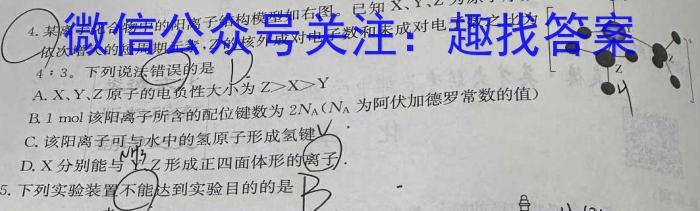 安徽省合肥市庐江县2024/2023学年度八年级第二学期期末教学质量抽测化学