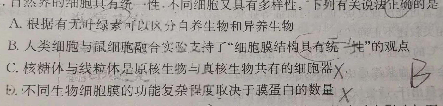 2024湖北部分名校新高考协作体高三起点考数学考试