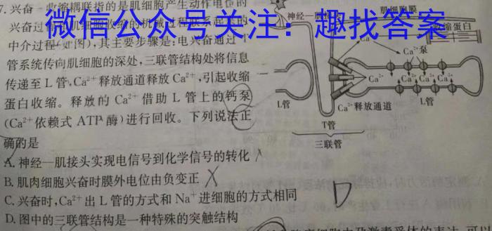 2022-2023学年高二5月联考(23-465B)数学