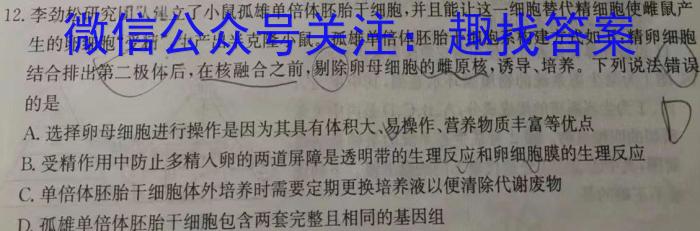 青桐鸣 2025届普通高等学校招生全国统一考试 青桐鸣高二联考(12月)数学