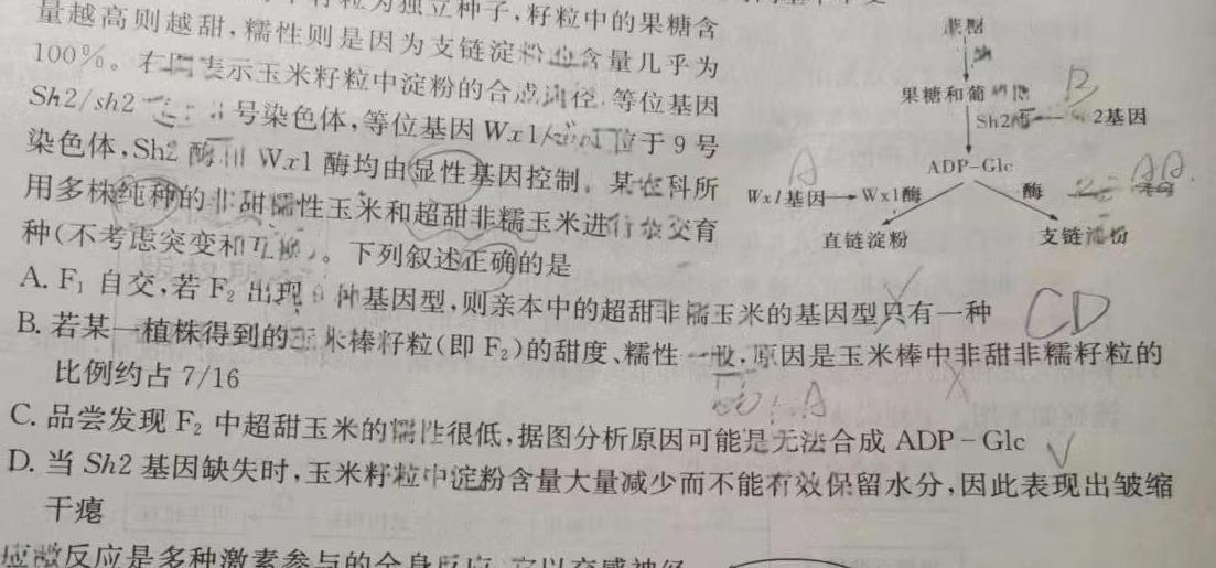 北京大教育2023年高考全国卷考前冲刺演练密卷(一)生物