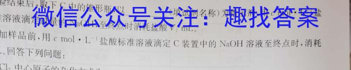 T2·2023年陕西省初中学业水平考试模拟试卷化学