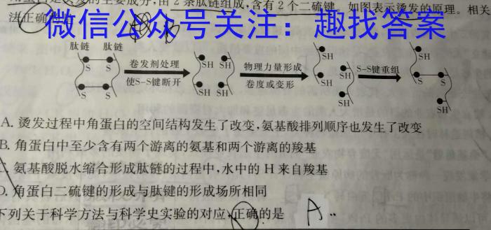 太原市第三十七中学校2025届初三年级上学期入学考试数学