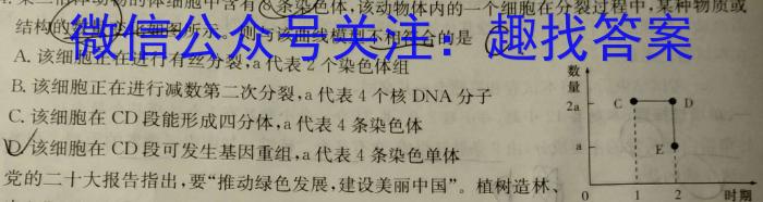 2024年河池市普通高中毕业班适应性模拟测试（5月）数学