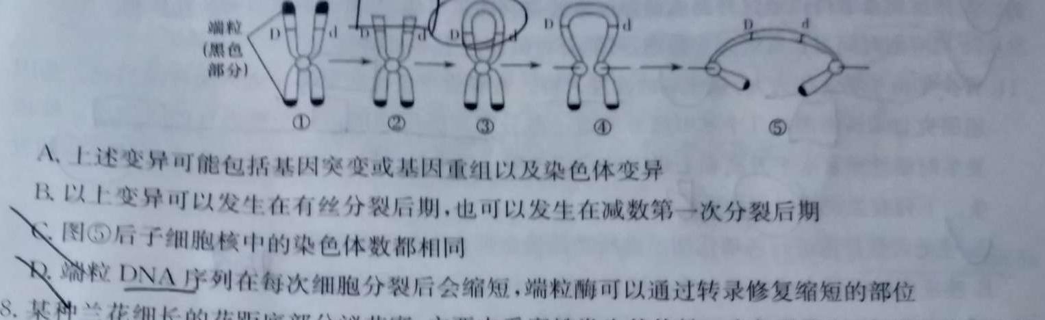 炎德英才大联考 湖南师大附中2023届模拟试卷(三)生物