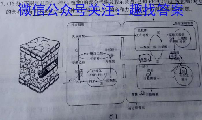 山西省2023~2024学年度七年级上学期阶段评估（三）数学