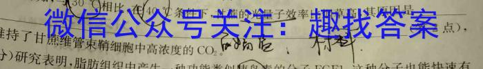 江淮名卷·2024年安徽中考模拟信息卷(一)1数学