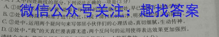 一步之遥 2023年河北省初中毕业生升学文化课考试模拟考试(十三)语文