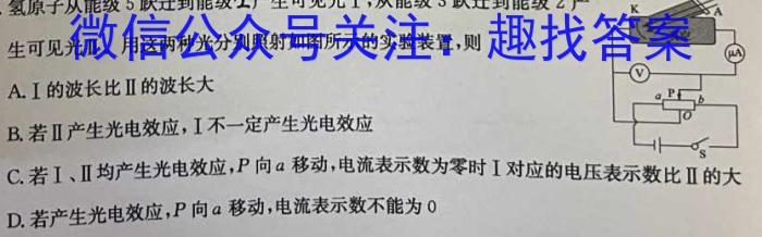 云南师大附中(师范大学附属中学)2023届高考适应性月考卷(十)h物理