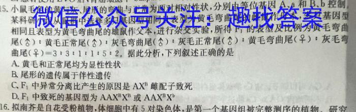 九师联盟 2022-2023学年高二洛阳强基联盟5月联考数学