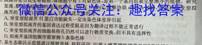 贵州省三新联盟校高一年级2023年11月联考数学