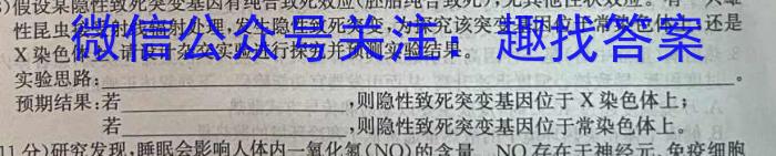 2024年河南中考临考压轴最后三套(二)数学