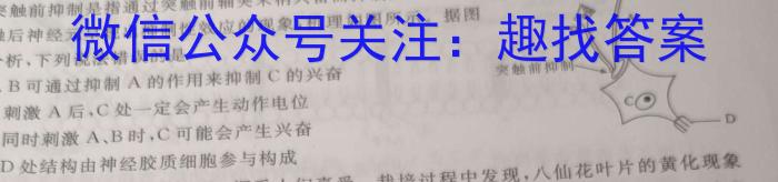 安徽省2023~2024学年度届八年级阶段质量检测 R-PGZX F-AH〇文理 数学