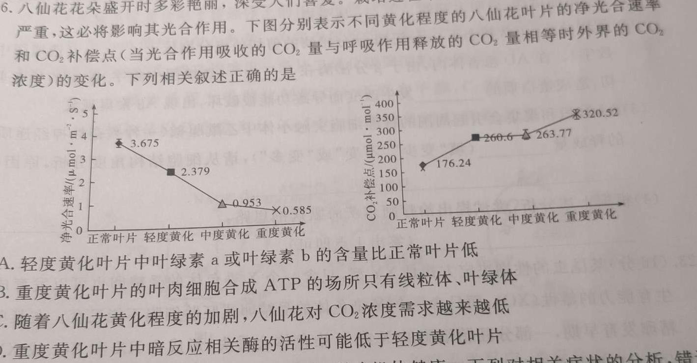 陕西省2023年中考试题猜想(SX)数学考试