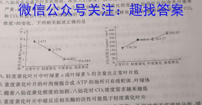 2023年陕西省初中学业水平考试·中考信息卷B数学