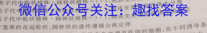 甘肃省2024-2025学年度第一学期第二次月考试题（高三）数学