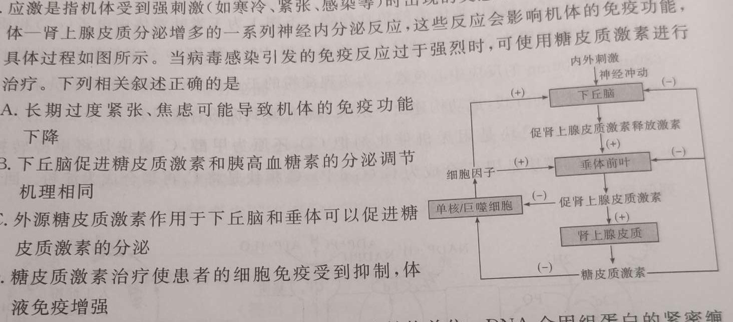 ［太原三模］太原市2023年高三年级模拟考试（三）数学考试