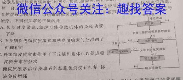 山西省2023-2024学年度八年级第三次月考（C）数学