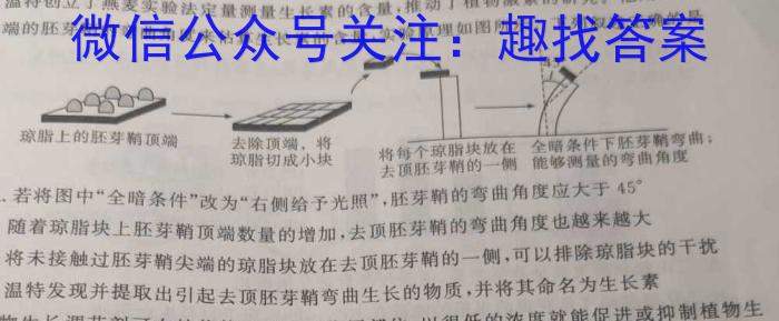 名校之约-2024河南省中招考试模拟试卷(八)8数学