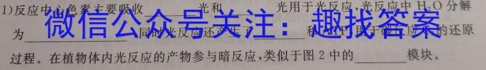 ［四川大联考］四川省2023-2024学年度高一年级1月联考数学