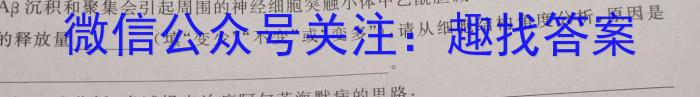 智慧上进·稳派大联考2022-2023学年高三5月高考适应性大练兵联考数学