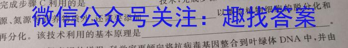 2023年福建大联考高三年级5月联考（524C·FJ）数学