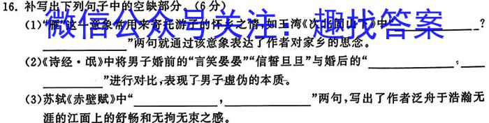 C20教育联盟2023年安徽省中考最后一卷语文