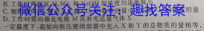 2024学年第二学期高二年级温州十校联合体期末联考化学
