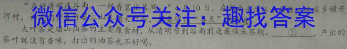 安徽省2022-2023学年度八年级下学期阶段评估（二）【7LR-AH】语文