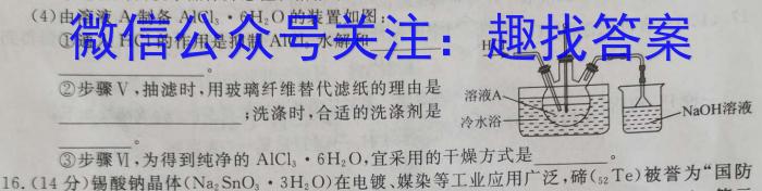 文博志鸿 2023年河南省普通高中招生考试模拟试卷(预测一)化学