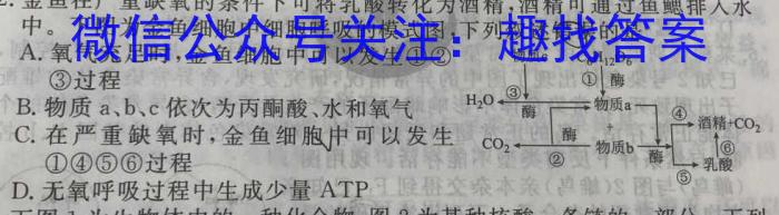 中考必刷卷·2024年名校内部卷二(试题卷)数学