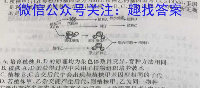 百师联盟·河北省2023-2024学年度高二期末联考数学