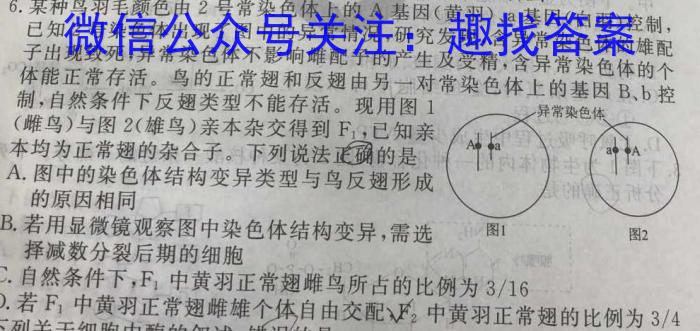 2023年湖南省普通高中学业水平合格性考试高一仿真试卷(专家版六)文理 数学