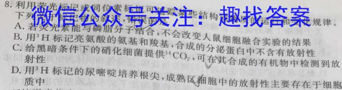 陕西省2024届高三第四次校际联考(1月)数学